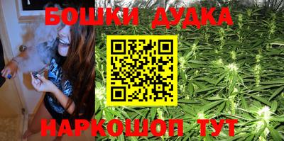 spice Камышлов