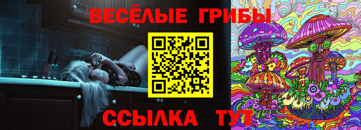 Галлюциногенные грибы прущие грибы  Вход с VPN  Кольчугино 