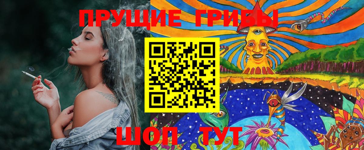 Галлюциногенные грибы Psilocybine cubensis Кольчугино