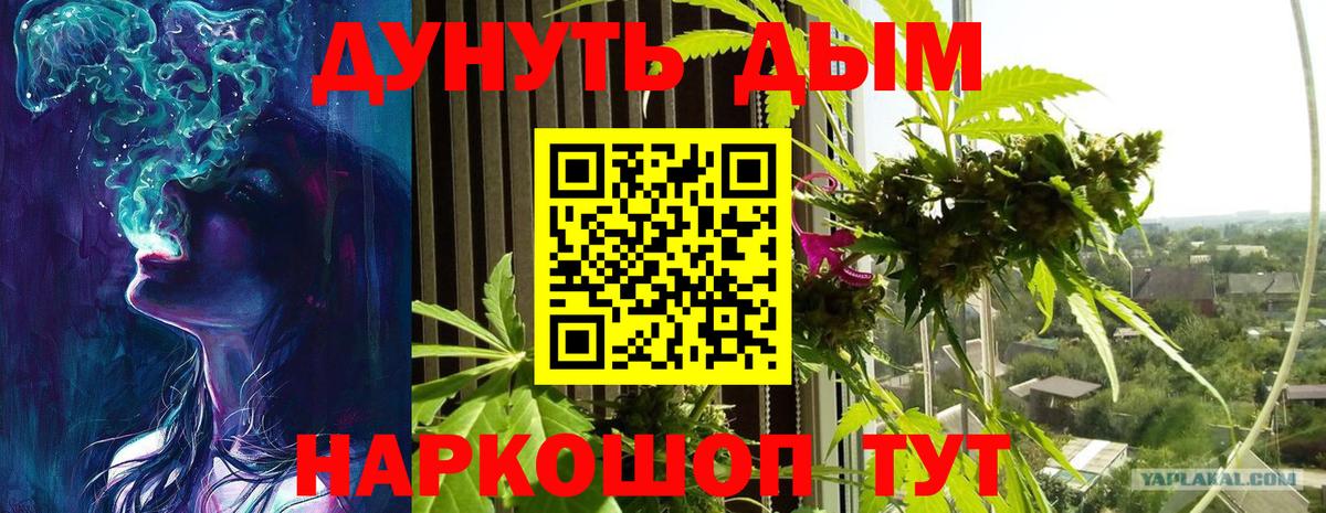 Каннабис SATIVA & INDICA Кольчугино